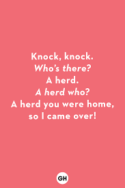 But in the spirit of top 10 jokes, it is not fair to leave out one of the most classic formats. 50 Best Knock Knock Jokes For Kids 2021 Hilarious Kids Jokes