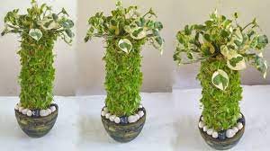 Amazing Indoor Garden Ideas So Easy Gardening Ideas For Home Youtube
