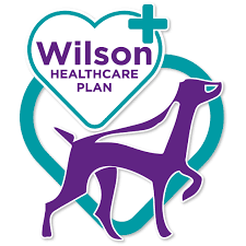 Call one of our vet clinics today! Wilson Partners Veterinary Surgeons In Fife