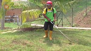 Bersantai di taman jadi makin menyenangkan! 10 Ide Gambar Orang Memotong Rumput Victoria Melani Blog