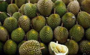Sedikit demi sedikit harga buah durian yang boleh didapati dengan murah pada bulan jun dan awal julai 2018 kini dah semakin sukar. 24 Jenis Jenis Durian Beserta Nombor Code Yang Rare Jarang Kita Dengar