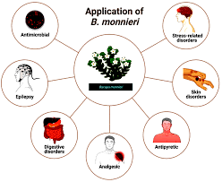Image result for Bacopa monnieri