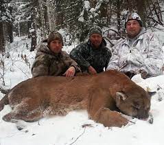 Every deer hunter that has spent any amount of time in the woods, or more appropriately around a campfire with other hunters, has heard stories related to mountain lion sightings. The True Story Behind Viral Monster Mountain Lion Photos