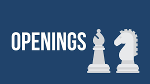 Last performance game statistic top opponents games. Chess Openings