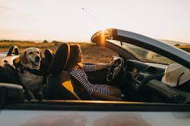 https://encrypted-tbn0.gstatic.com/images?q=tbn:ANd9GcThO96I_aCoQ3uIcaYB37gEDEbqS2gOWVc5d2RHmn_2x3Mw01AH3fyrnG44KE2het6p9ao&usqp=CAU