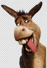 Donkey Princess Fiona Shrek The Musical Youtube Lord Farquaad Png Fiona Shrek Shrek Shrek Funny