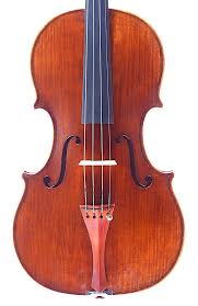 Image result for Viola eminii