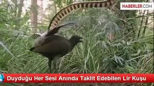 Ar Kus Uretim Home Facebook