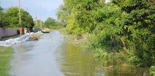 CÄƒlÄƒrasi 18 LocalitÄƒÅ£i Afectate De Cresterea Cotelor Apelor DunÄƒrii Si Ale BraÅ£ului Borcea Foto
