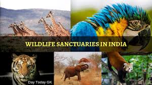 Complete List Of Wildlife Sanctuaries In India General Knowledge Another wildlife sanctuary in kerala, chinnar wildlife sanctuary is located close to munnar. complete list of wildlife sanctuaries in india general knowledge