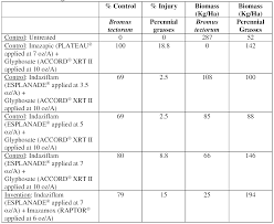 Image result for Dissotis longisepala