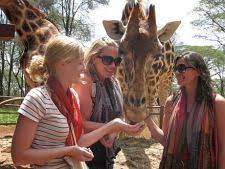 Noi suntem originalul vacantelor si evenimentelor pentru persoanele single. Vacanta Persoane Singure