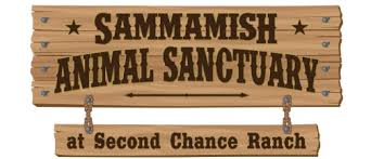 We did not find results for: Sammamish Animal Sanctuary Home Facebook
