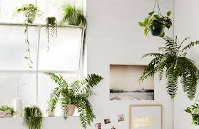 Check the seed packet to see how deep you should plant your seeds. How To Start An Indoor Garden A Beginner S Guide Hunting For George