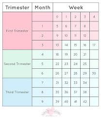 Accurate Weekly Pregnancy Calendar Pregnancy Month Chart