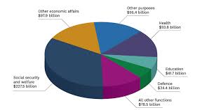 Breakdown of estimated spending by function for 2020 to 2025 and pie chart for 2021 from federal budget. Budget 2020 21 Overview 2020 21 Budget