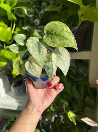 ドラえもん- 秘密の扉でしずかちゃんがお風呂に入っている所にのび太くんが入ってきた-「貴方の衝動」どこでもドアは快楽の場に繋がってしてるいた