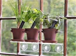 Growing herbs indoors has many benefits as you can control the environment better in terms of temperature, humidity, water. 10 Important Tips To Create Your Own Indoor Herb Garden