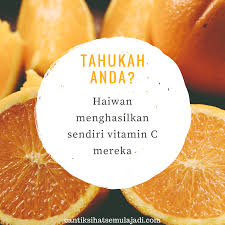 Assalamualaikum, thanks for watching this video. Manfaat Dan Kebaikan Vitamin C Serta Perbezaan Vita C Shaklee Umi Nazrah