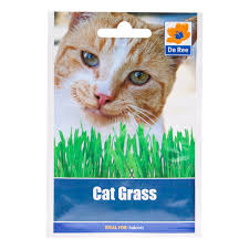 If you're nearing frost or freeze temperatures, bring it indoors. Cat Grass Seed Packet