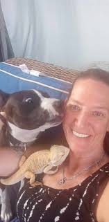 Dogs and dragons: friendly interactions and cuddles?