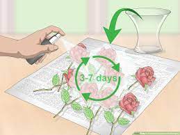 How to keep old flowers forever. How To Preserve Flowers With Hairspray 14 Steps With Pictures