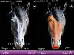 Have You Ever Wondered What You Would Look Like As A Horse Of Course You Haven T Because It S Terrifying Horses Me App Nightmare
