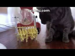 Sphero Riding Strandbeest Is A Robot With An Exoskeleton Hackaday In 2021 Hamster Strandbeest Animals