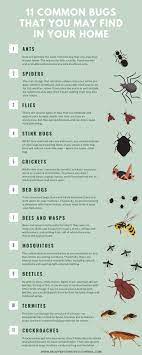 While there are many insects that fit this im have small tiny black bugs infest my home &, its my whole house. 11 Common Bugs That You May Find In Your Home