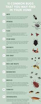 Rest easy pest control servicing long island, nyc & nj. 11 Common Bugs That You May Find In Your Home