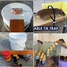 Living on a large farm acreage near fields he thought, if the pool is so effective at catching mice, why not use that idea to trap mice around the home? and the journey to building a better. 15 Best Homemade Mouse Trap Ideas That Really Work