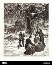 Great Changes Came For Farmers Thanks To Men And Women Of Our Past - Agweek  | #1 Source For Agriculture News, Farming, Markets