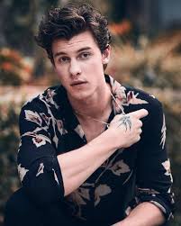 Pin By Senalim On Shawn Mendes Shawn Mendes Wallpaper Shawn Shawn Mendes