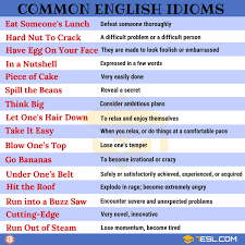 Idioms 1500 English Idioms From A Z With Useful Examples 7 E S L English Idioms Idioms Idioms And Phrases