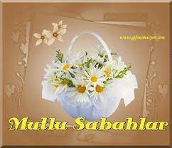 Bu kategoride, harika günaydın resimleri ve hareketli günaydın gifleri bulacaksınız! Hareketli Gunaydin Gifleri Bilgisozler Com Tesekkur Kartlari Resimler E Kartlar