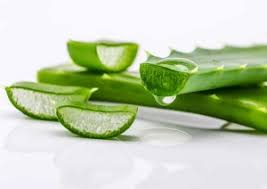 Aloe cadabra is 95% organic aloe so it's as natural as nature. Organic Natural Lubricant Vaginal Dryness Aloe Cadabra