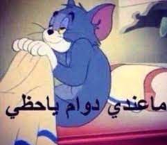 pin by mimi mimo on منوعات funny photo memes vines funny videos dora funny
