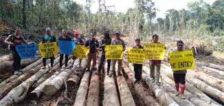 Nasi dan rakyat malaysia memang berpisah tiada. Wilayah Adat Penan Di Batu Bungan Mulu Sarawak Diancam Projek Perladangan Sahabat Alam Malaysia