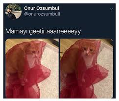 mizah komik gulunc resimler komik seyler komik