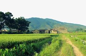 山脚下的村庄乡村乡村小屋农庄农村农村小屋小径房子树绿色美丽乡村 country roads outdoor farmland