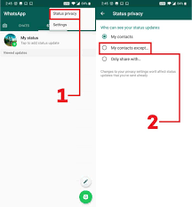 Tap the archive option shown on the right side of that particular chat. How To Hide Whatsapp Status From Selected Contacts