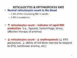 Pin On Physiology