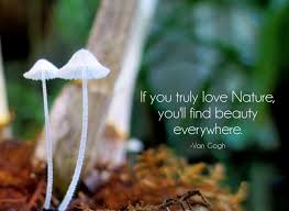 Pin By Pita On Quotes Inspiration Nature Quotes Nature Quotes Adventure Beauty Quotes