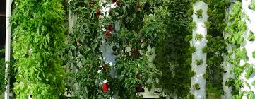 Check spelling or type a new query. Aeroponics The Definitive Guide To Get Started With Aeroponic Systems