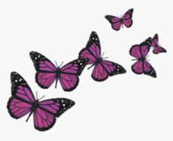 This png has a resolution of 1000x1000. Butterfly Butterflies Cute Nature Pink Love Wings Butterflies Transparent Background Hd Png Download Transparent Png Image Pngitem