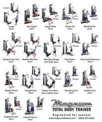 Image Result For Free Multi Gym Exercises Chart Gym Charts