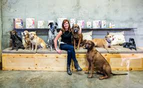 Holistic products for pet health, including natural dog food, treats, vitamins, flea control, supplements, grooming, & more. The Honest Kitchen Recognized As Top Workplace In America By Entrepreneur And Outside Magazines