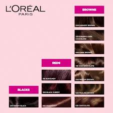 Loreal Paris Casting Creme Gloss Hair Color Darkest Brown 300 87 5g 72ml
