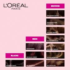 loreal paris casting creme gloss hair color darkest brown 300 87 5g 72ml