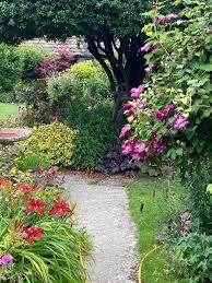 Maybe you would like to learn more about one of these? Growing Clematis The Problems And Possibilities Blooming Lucky